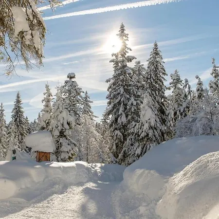 Apartman Haus Almrose Leutasch
