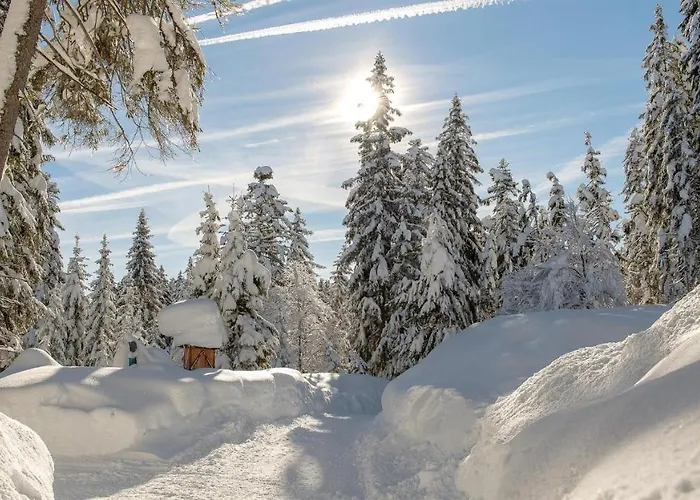 Lejlighed Haus Almrose Leutasch