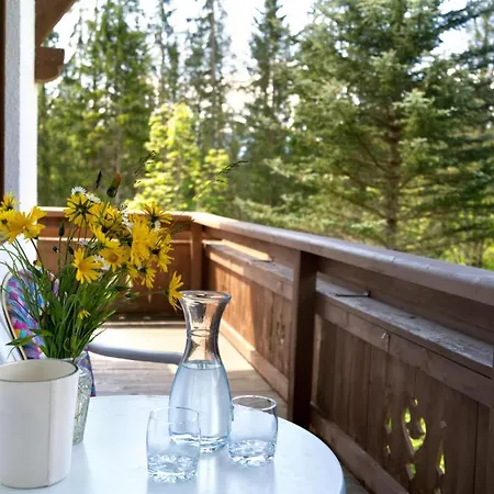 Haus Almrose Daire Leutasch